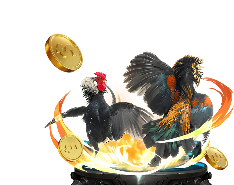 Các sản phẩm và dịch vụ cá cược đa dạng tại BK8